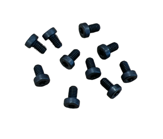 Striffler Torx-Bout M3, 5x5,5 type D 10 stuks